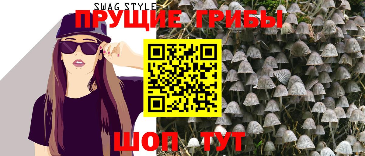 Псилоцибиновые грибы GOLDEN TEACHER Балаково