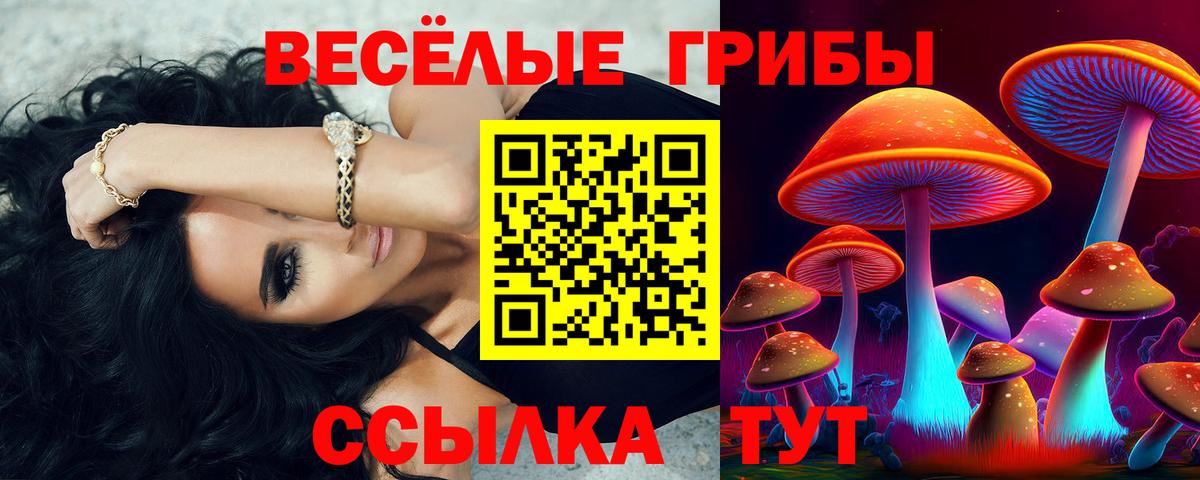 Галлюциногенные грибы MAGIC MUSHROOMS  Галлюциногенные грибы GOLDEN TEACHER  Балаково  что такое наркотик  Вход с VPN 